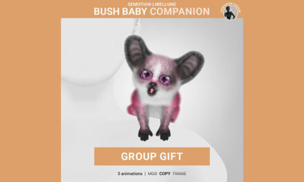 SEmotion Libellune Group Gift Bush Baby