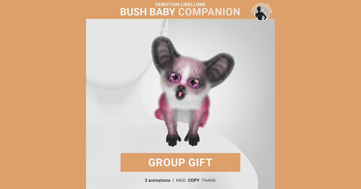 SEmotion Libellune Group Gift Bush Baby