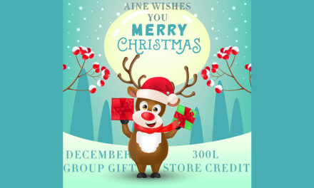 300L Store Credit December Group Gift at Aine