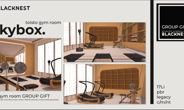 Black Nest Gift Toisto Gym Room Skybox