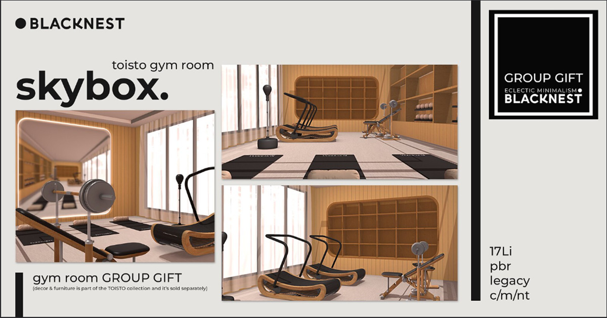 Black Nest Gift Toisto Gym Room Skybox