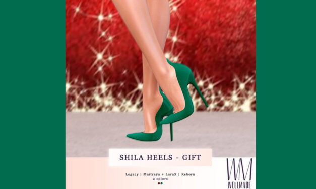 Shila Heels Group Gift at WellMade