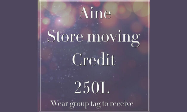 February Group Gift 250L Store Credit at Aine