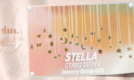 January Group Gift Stella Stars Decor at Elm.