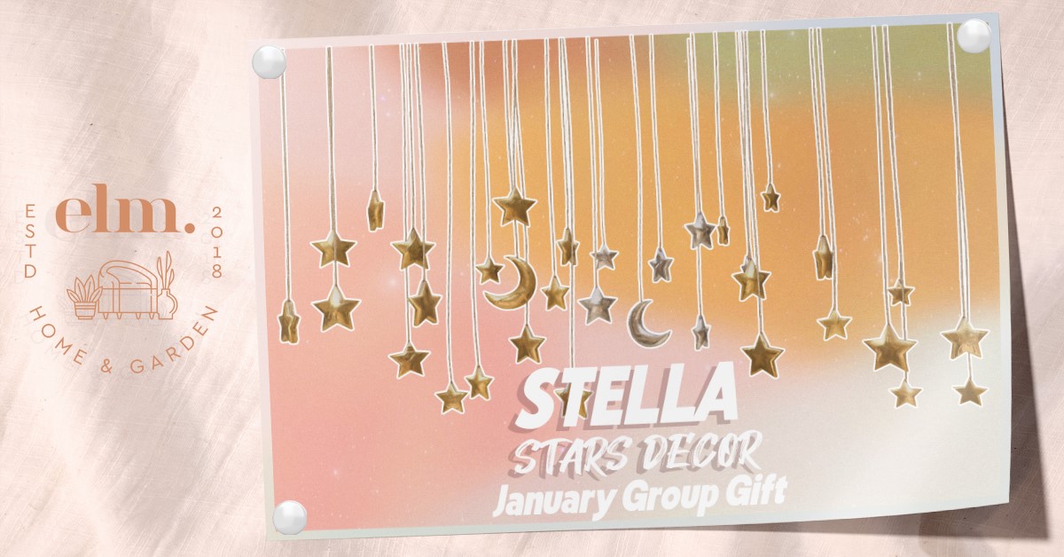 January Group Gift Stella Stars Decor at Elm.