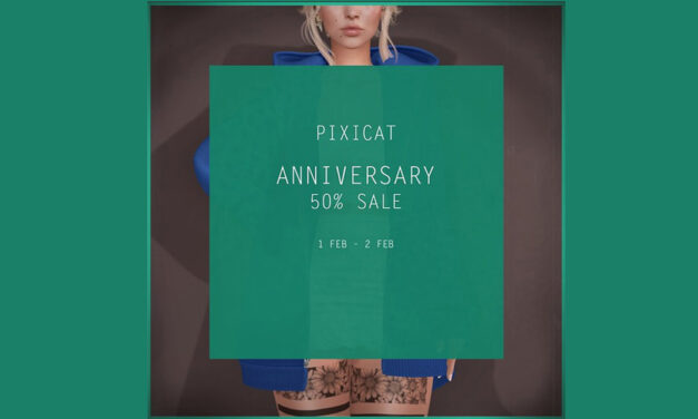 Pixicat 50% Off Anniversary Sale!