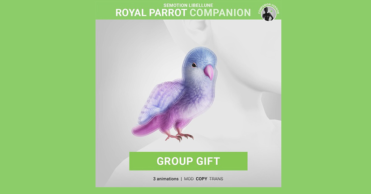 Limited Group Gift Royal Parrot at Semotion Libellune